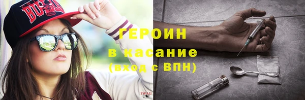 индика Алексин