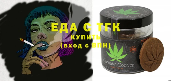 индика Алексин