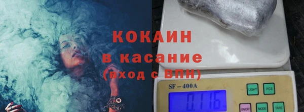 индика Алексин