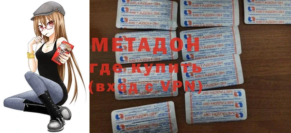 индика Алексин