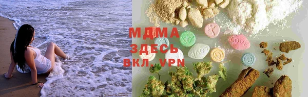 индика Алексин
