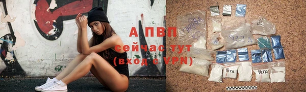 индика Алексин