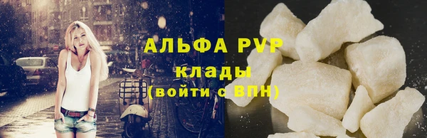 индика Алексин