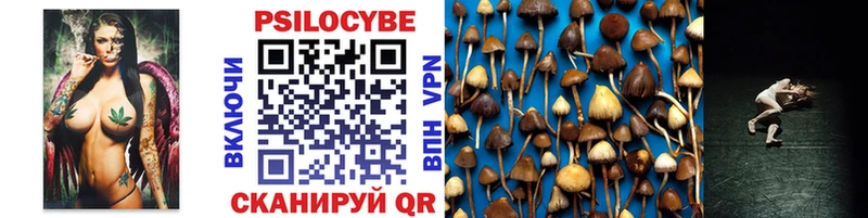 сколько стоит  Суджа  Псилоцибиновые грибы Magic Shrooms 